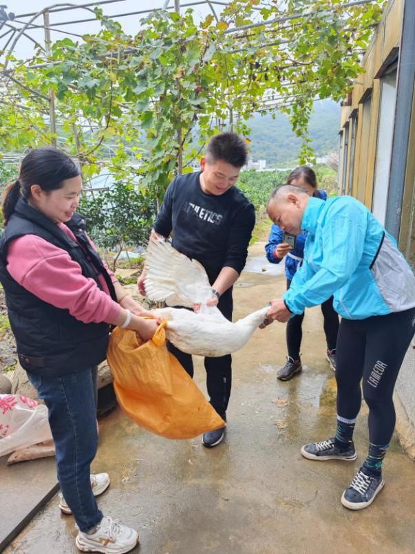 拉斯维加斯9888(中国区)官方网站