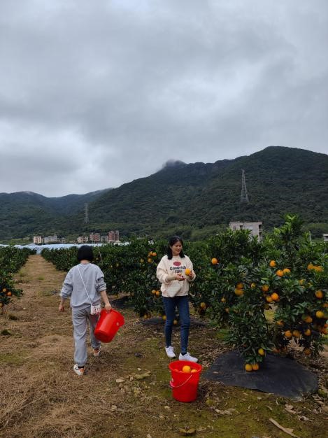 拉斯维加斯9888(中国区)官方网站