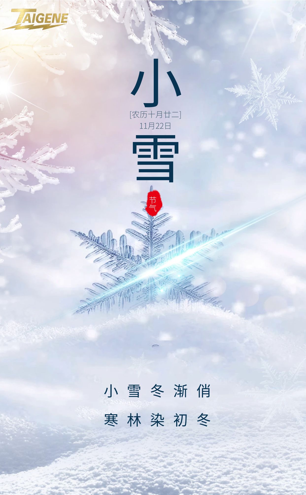 拉斯维加斯9888(中国区)官方网站